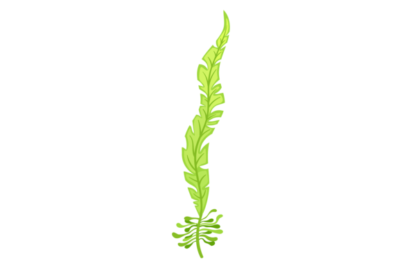 Download Marine Floral Element. Green Sea Bottom - Element Collection